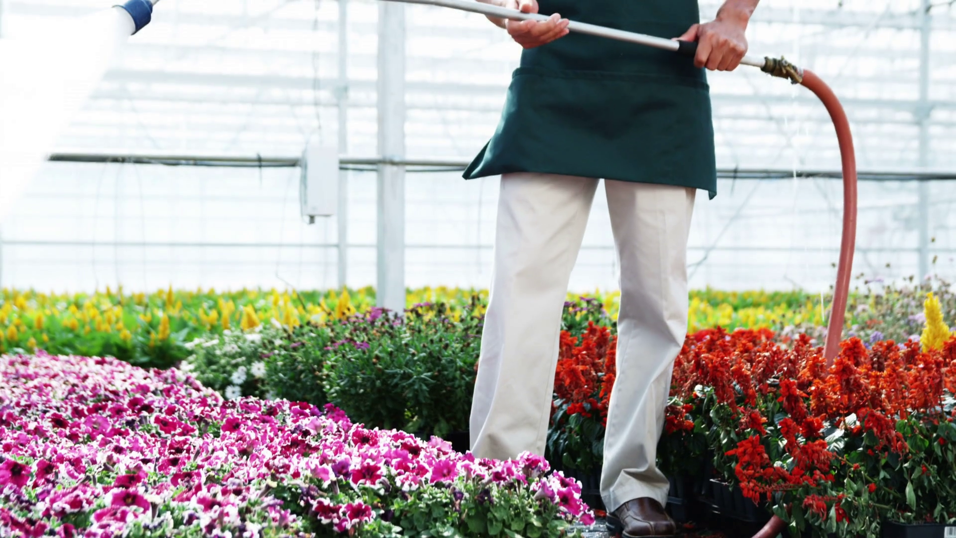 PLANT NURSERY ASSISTANT