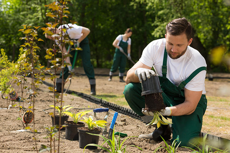 Horticultural Conservation Worker