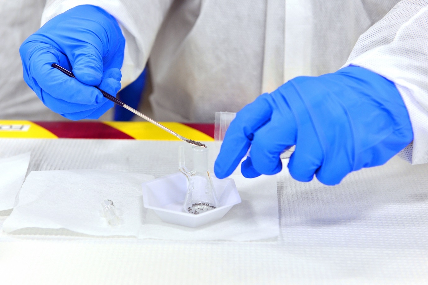 Forensic Services Consultant